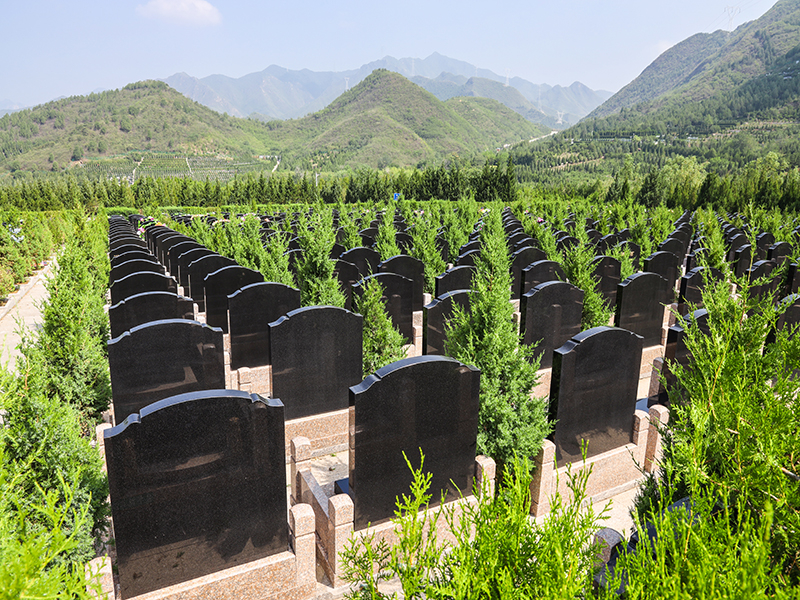 2023年北京热销陵园：景仰园环境、风水